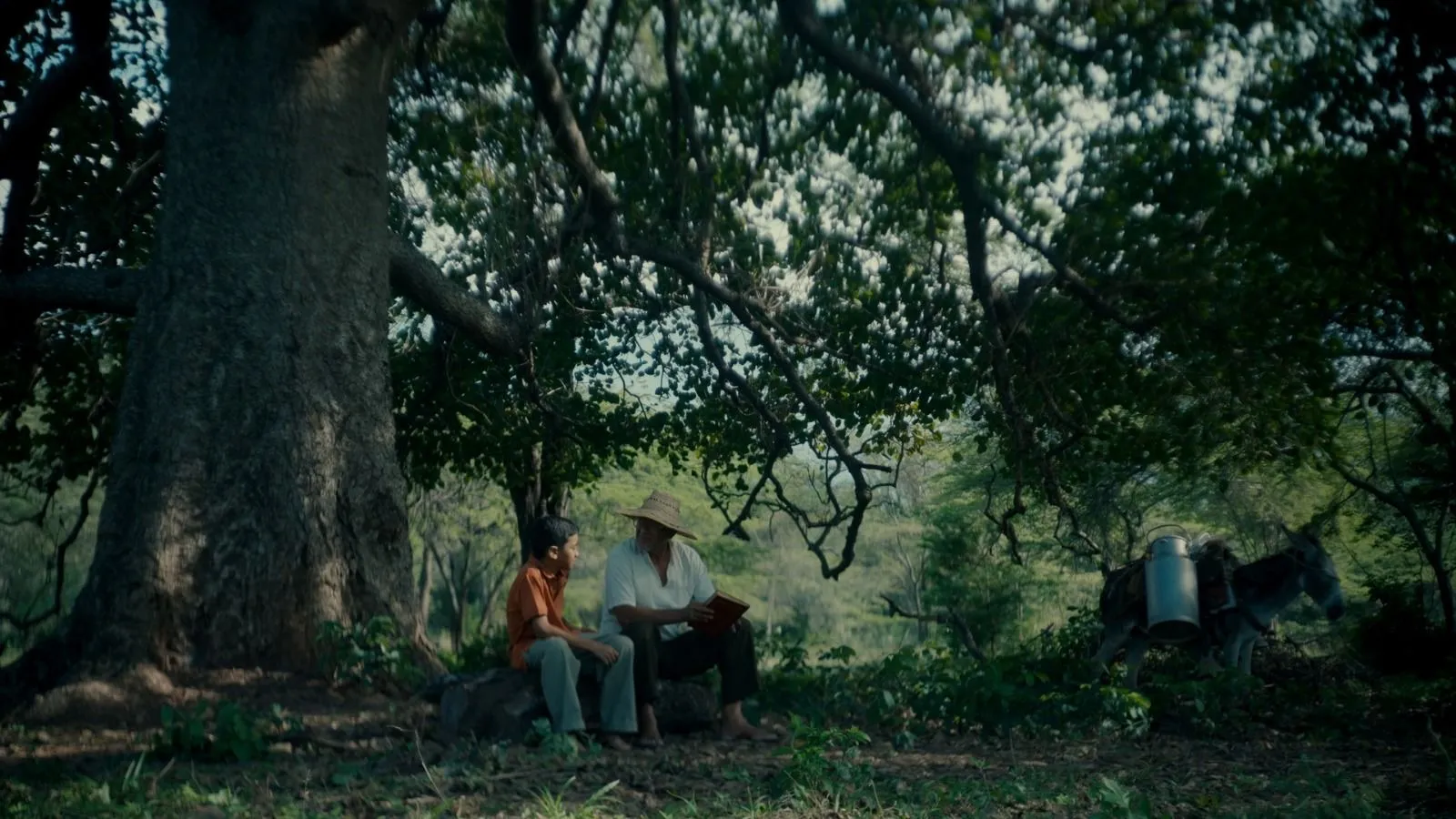 Still de ficción